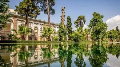 جابجایی موزهها مانند مهاجرت تلخ است جابجایی موزهها مانند مهاجرت تلخ است