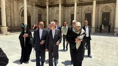 بازدید وزیر میراث‌فرهنگی از مسجد تاریخی محمدعلی