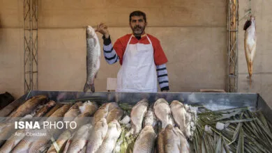 گردشگری و توریست ایران
