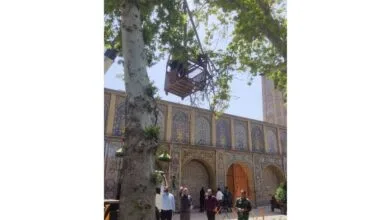 گردشگری و توریست ایران
