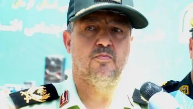 سارق سکه‌ها و نسخ تاریخی مقبره شاه نعمت الله ماهان دستگیر شد