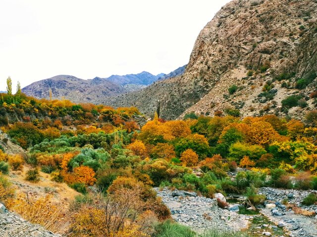 یکی از امن‌ترین و بکرترین مناطق جهان در آتش سوخت