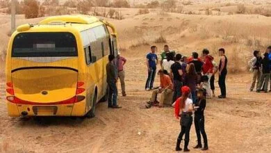 گردشگری و توریست ایران