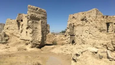 گردشگری و توریست ایران