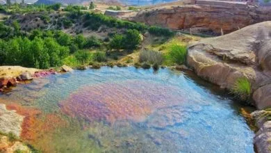 گردشگری و توریست ایران
