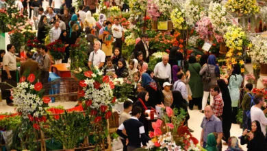 گردشگری و توریست ایران