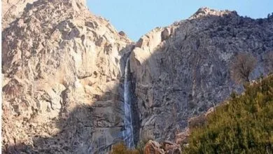گردشگری و توریست ایران