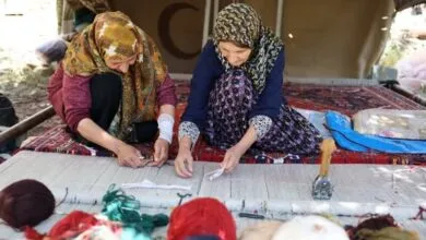 گردشگری و توریست ایران