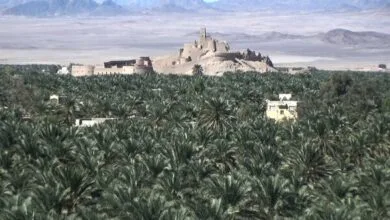 گردشگری و توریست ایران