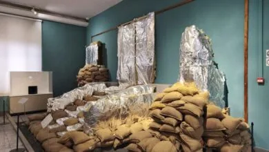 گردشگری و توریست ایران