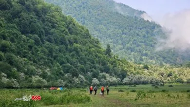 گردشگری و توریست ایران