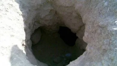 گردشگری و توریست ایران