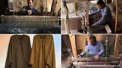 گردشگری و توریست ایران